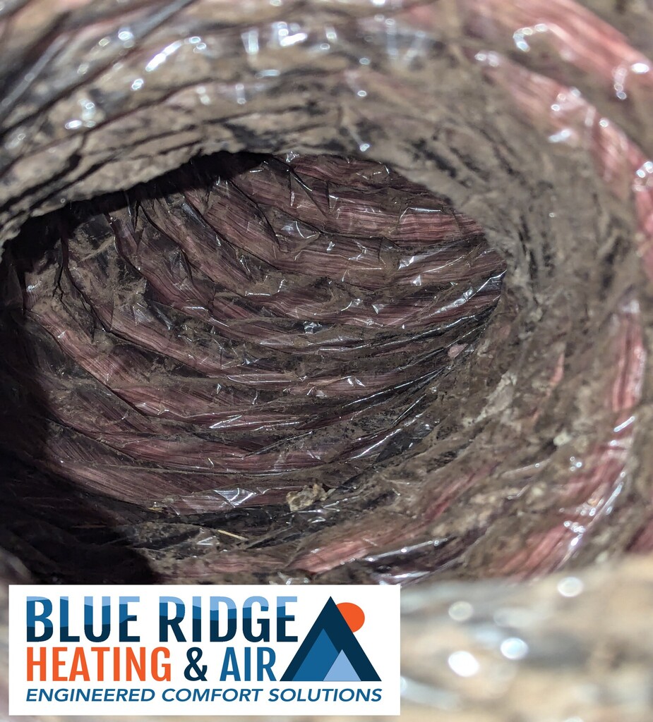 Mold In Ductwork Blue Ridge Heating and Air