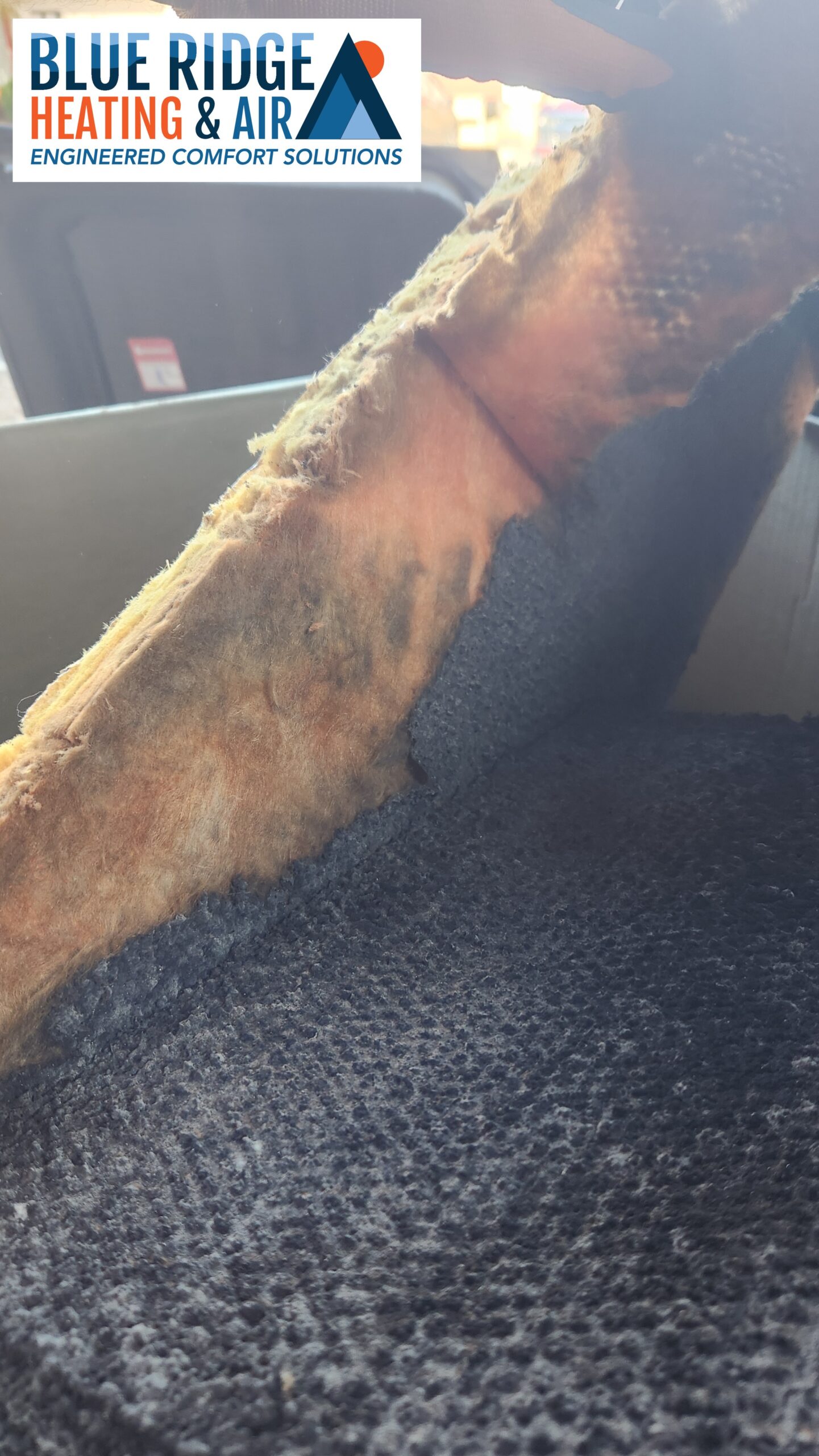 Black Mold Blue Ridge Heating and Air