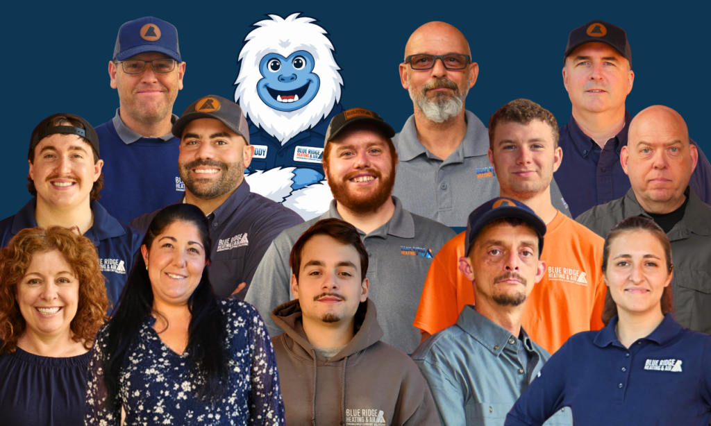 Blue Ridge Heating and Air Greenville Team